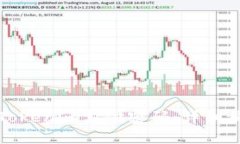 如何找回Tokenim支付密码：详细步骤与技巧