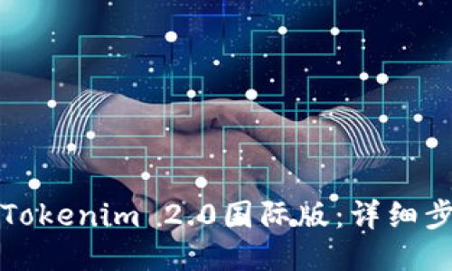 如何安装Tokenim 2.0国际版：详细步骤与指南