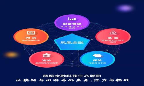 区块链与比特币的未来：潜力与挑战