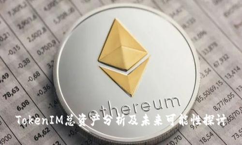 TokenIM总资产分析及未来可能性探讨