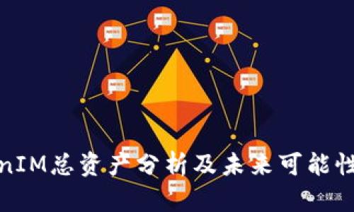 TokenIM总资产分析及未来可能性探讨