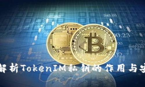 深入解析TokenIM私钥的作用与安全性