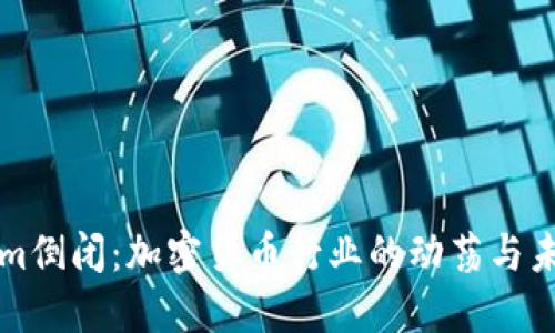 Tokenim倒闭：加密货币行业的动荡与未来展望