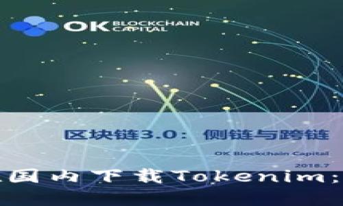 如何在国内下载Tokenim：全攻略