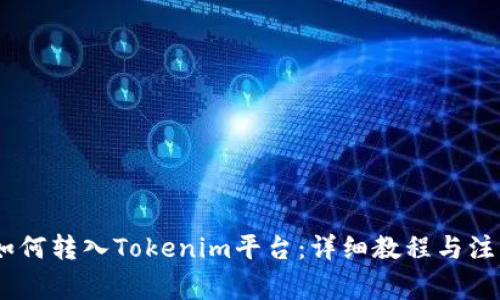USDT如何转入Tokenim平台：详细教程与注意事项
