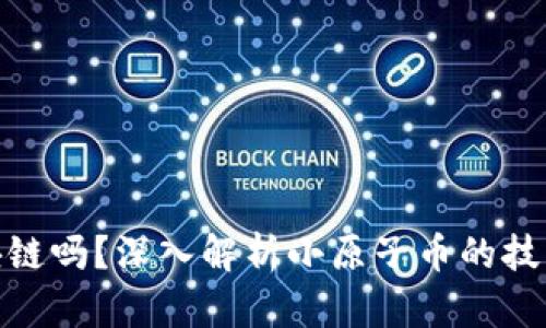 : 小原子币是区块链吗？深入解析小原子币的技术基础和应用前景