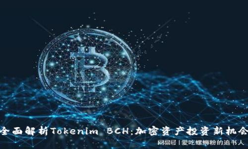 全面解析Tokenim BCH：加密资产投资新机会
