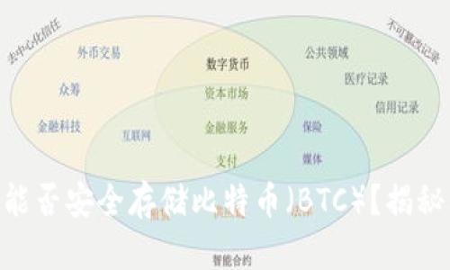 Tokenim平台能否安全存储比特币（BTC）？揭秘其特点与功能