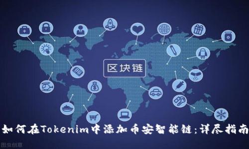 如何在Tokenim中添加币安智能链:详尽指南