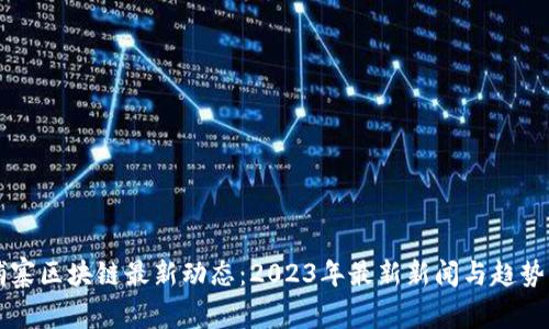 柬埔寨区块链最新动态：2023年最新新闻与趋势分析