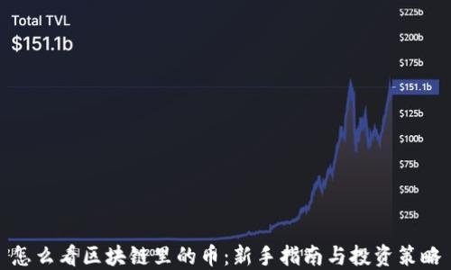 
怎么看区块链里的币：新手指南与投资策略