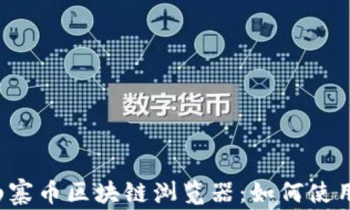 
全方位解析山寨币区块链浏览器：如何使用、功能与影响