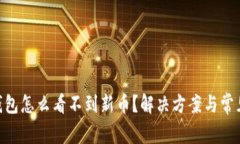Tokenim钱包怎么看不到新币？解决方案与常见问题