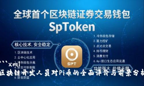```xml
区块链开发人员对Pi币的全面评价与前景分析