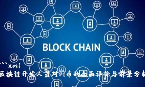 ```xml
区块链开发人员对Pi币的全面评价与前景分析