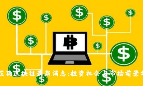 莱茨狗区块链最新消息：投资机会与市场前景分析