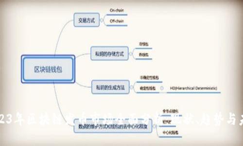 2023年区块链发币市场全面分析：现状、趋势与未来