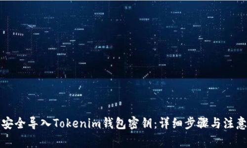如何安全导入Tokenim钱包密钥：详细步骤与注意事项
