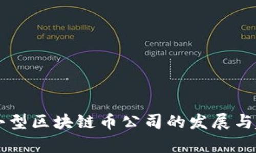 ### 小型区块链币公司的发展与趋势分析