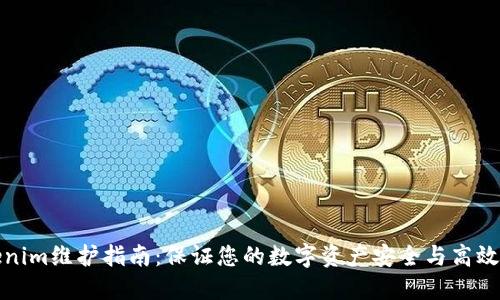 Tokenim维护指南：保证您的数字资产安全与高效管理