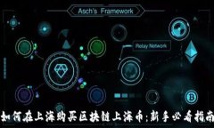   如何在上海购买区块链上海币：新手必看指南