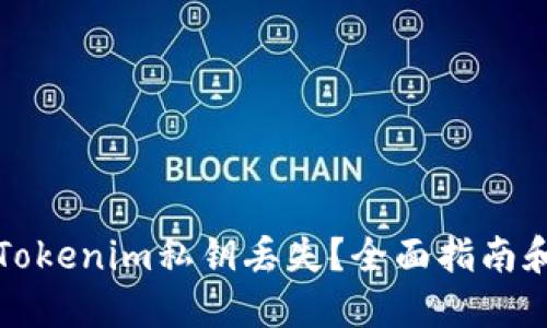 如何应对Tokenim私钥丢失？全面指南和解决方案