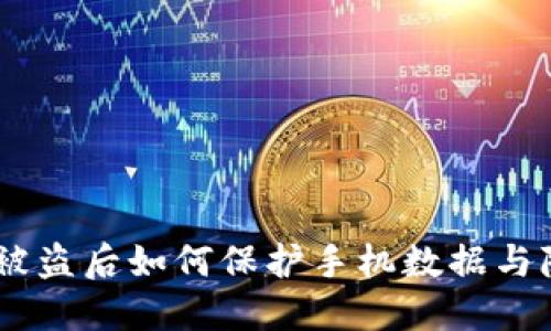 Tokenim被盗后如何保护手机数据与隐私安全？
