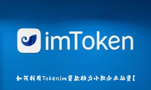 如何利用Tokenim贷款助力小微企业融资？