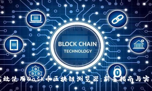 如何高效使用Dash币区块链浏览器：新手指南与实用技巧