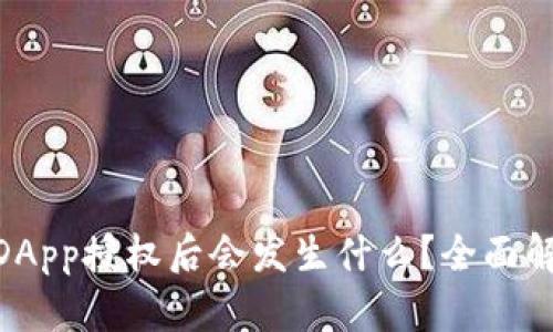 Tokenim钱包DApp授权后会发生什么？全面解读与风险提示