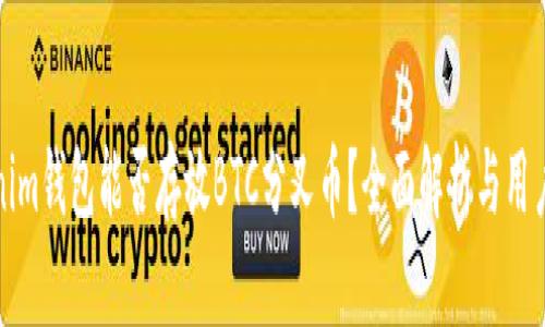 Tokenim钱包能否存放BTC分叉币？全面解析与用户指南