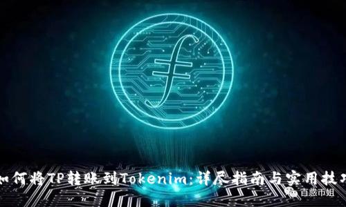 如何将TP转账到Tokenim：详尽指南与实用技巧