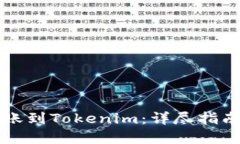 如何将TP转账到Tokenim：详尽指南与实用技巧