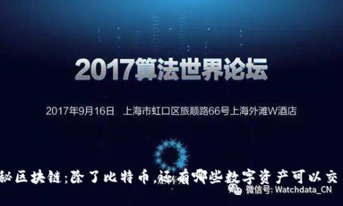 揭秘区块链：除了比特币，还有哪些数字资产可以交易？