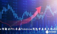 如何解决FIL币在Tokenim钱包中未显示的问题