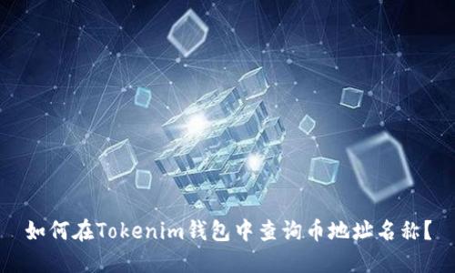 如何在Tokenim钱包中查询币地址名称？