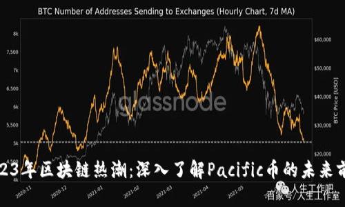 2023年区块链热潮：深入了解Pacific币的未来前景