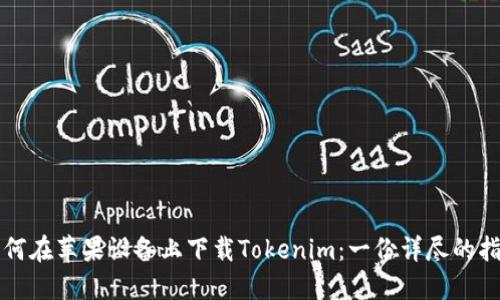 如何在苹果设备上下载Tokenim：一份详尽的指南