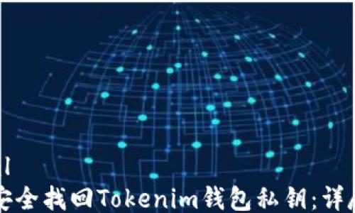 
```xml
如何安全找回Tokenim钱包私钥：详尽指南