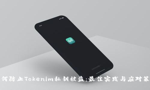 如何防止Tokenim私钥被盗：最佳实践与应对策略