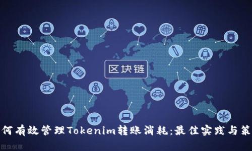 如何有效管理Tokenim转账消耗：最佳实践与策略