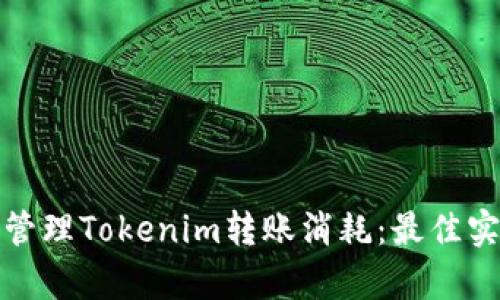 如何有效管理Tokenim转账消耗：最佳实践与策略