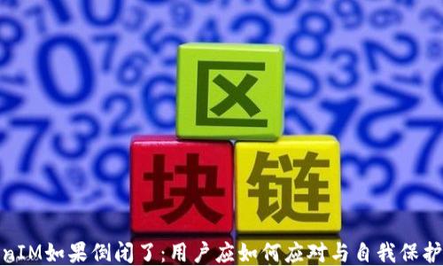 
TokenIM如果倒闭了：用户应如何应对与自我保护策略