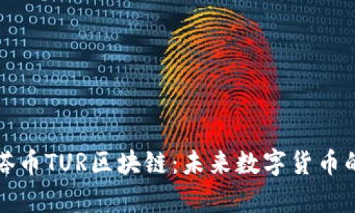 深入探索角塔币TUR区块链：未来数字货币的前景与挑战