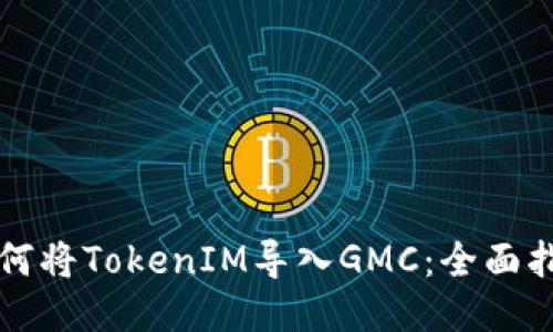 如何将TokenIM导入GMC：全面指南