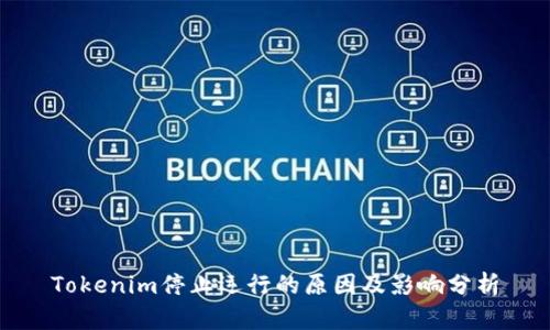 Tokenim停止运行的原因及影响分析