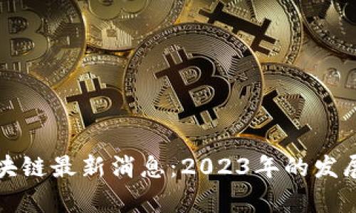### 奇亚币区块链最新消息：2023年的发展动态与投资机会