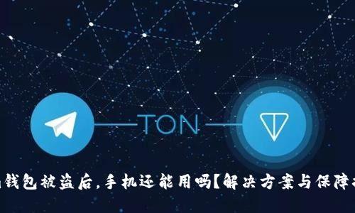 Tokenim钱包被盗后，手机还能用吗？解决方案与保障措施详解