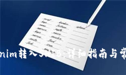 如何将Tokenim转入SHIB：详细指南与常见问题解答