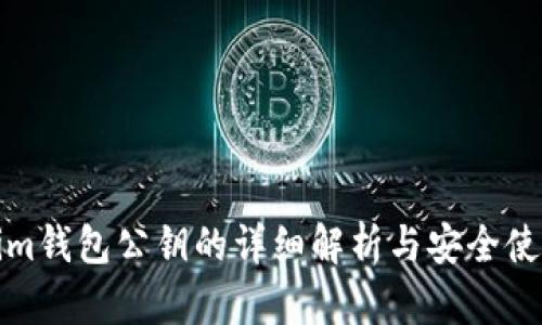 Tokenim钱包公钥的详细解析与安全使用指南